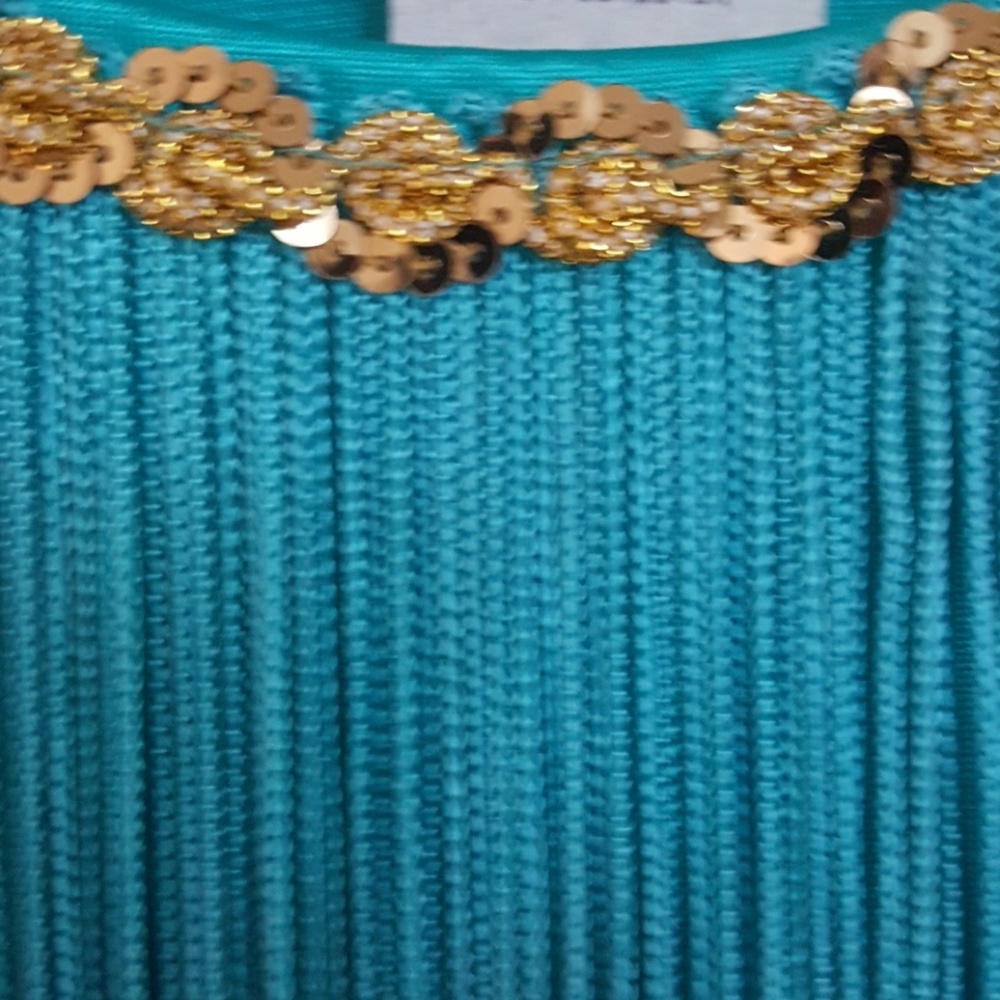 COSTUME Flapper Professional Dress Small R Blue - Picture 4 of 5